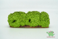 Preview: Schleich Hecke 30659